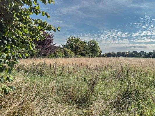 schöne und ruhige Feldrandlage