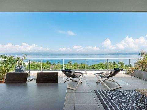 NEUVECELLE Wohnungen, NEUVECELLE Wohnung kaufen