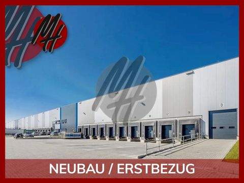 Winsen (Luhe) Halle, Winsen (Luhe) Hallenfläche