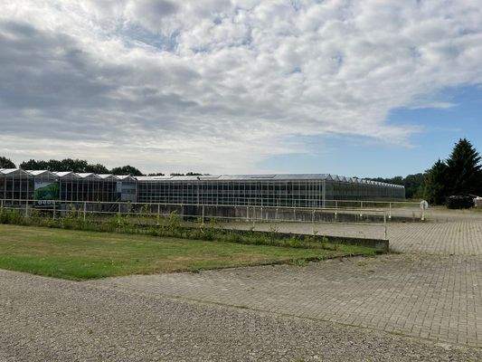 Gewächshaus neu mit Zufahrt