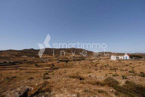 Tourlos, Mykonos Bauernhöfe, Landwirtschaft, Tourlos, Mykonos Forstwirtschaft