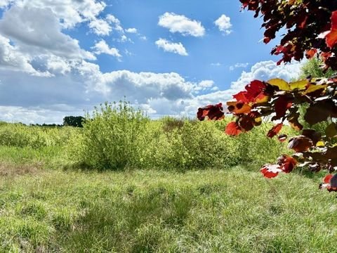 Bad Saarow Häuser, Bad Saarow Haus kaufen
