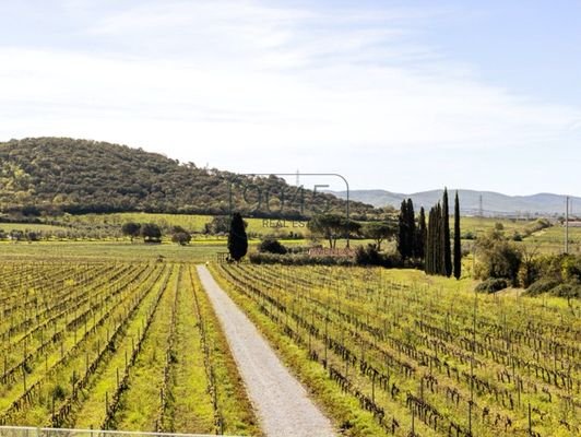 Prächtiges Weingut in der Val di Cornia Maremma - Toskana