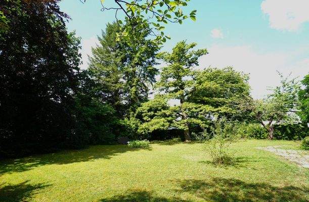 Blick nach Norden.jpg