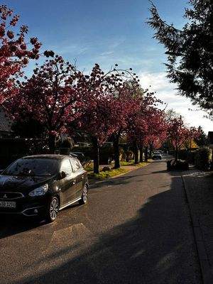Wohnstraße im Frühling