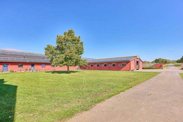 03 Park im Innenhof.jpg