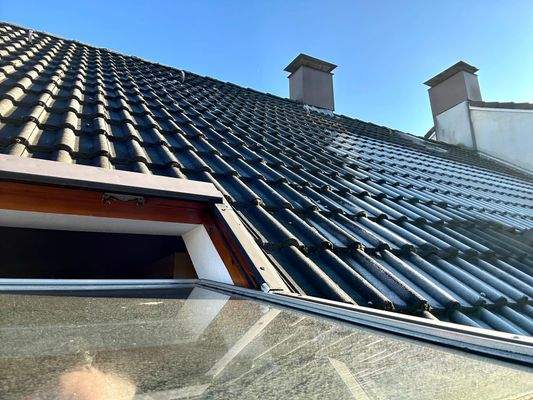 Dachansicht Haus Nr. 8