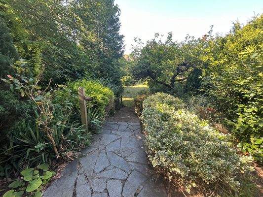 Eingewachsener XXL-Garten.JPG