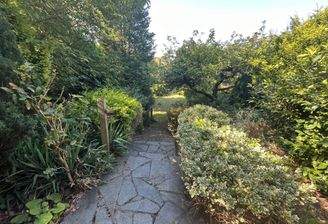 Eingewachsener XXL-Garten.JPG