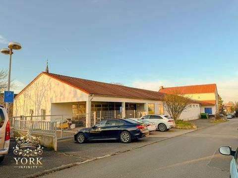 Apolda Halle, Apolda Hallenfläche