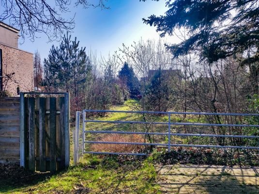 Blick aufs Grundstück