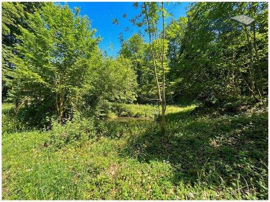 Jetzt Anfrage senden