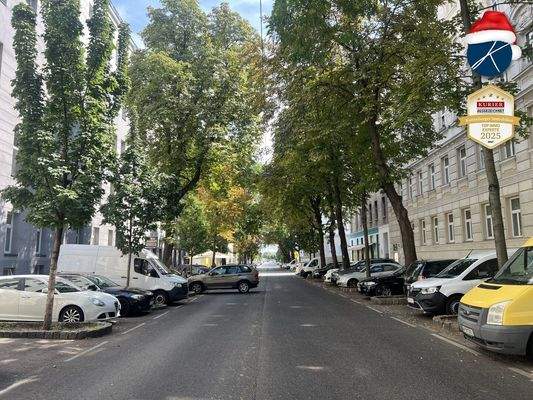 Alleestraße mit Altbaumbestand