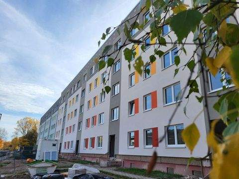 Heilbad Heiligenstadt Wohnungen, Heilbad Heiligenstadt Wohnung mieten