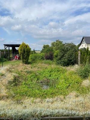 Blick in den Garten