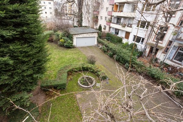 Blick in den Garten 