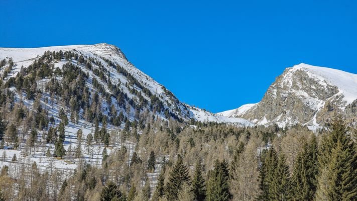 KITZIMMO-exklusives Almchalet 1 in Toplage kaufen - Immobilien Falkertsee Kärnten.