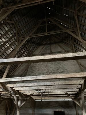 IMG_7526
