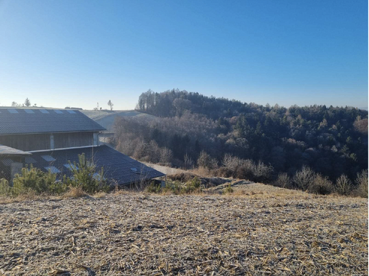 Kirchbach Aussicht Hügelkuppe