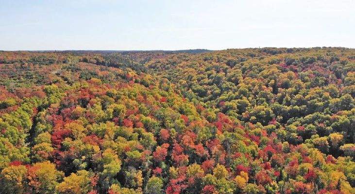 Nova Scotia - West Side Country Harbour - 52-Hekta