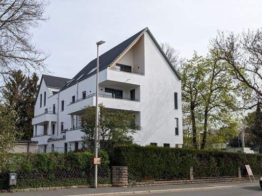 PXL_20240409_080641319 (002).jpg