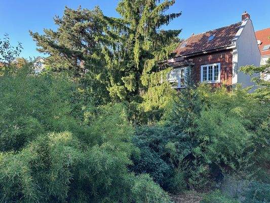 Ausblick und Nachbar