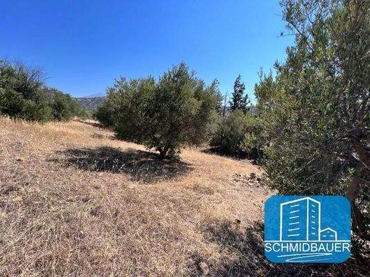 Kreta, Agia Galini: Grundstück in wunderschöner Lage zu verkaufen