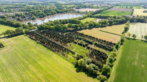 Westerstede Bauernhöfe, Landwirtschaft, Westerstede Forstwirtschaft
