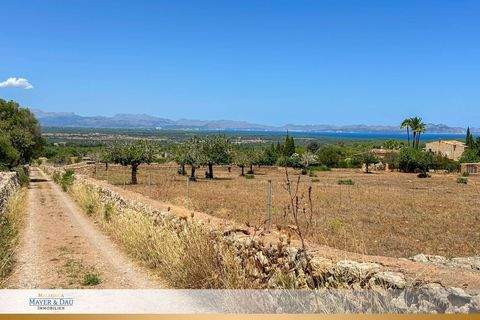 Sant Llorenc Des Cardassar Bauernhöfe, Landwirtschaft, Sant Llorenc Des Cardassar Forstwirtschaft