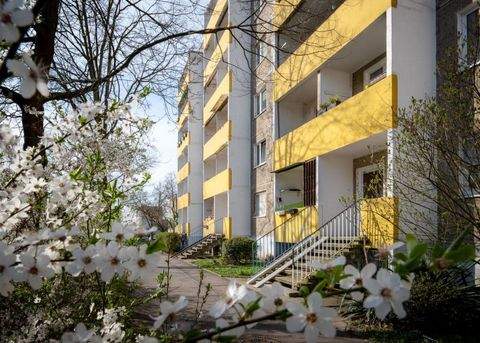 Halle (Saale) Wohnungen, Halle (Saale) Wohnung mieten