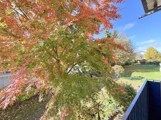 Natur pur mitten in der Stadt