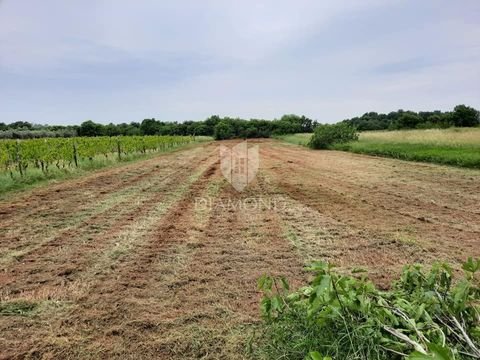 Liznjan center Bauernhöfe, Landwirtschaft, Liznjan center Forstwirtschaft