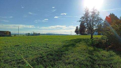 Eggenthal Bauernhöfe, Landwirtschaft, Eggenthal Forstwirtschaft