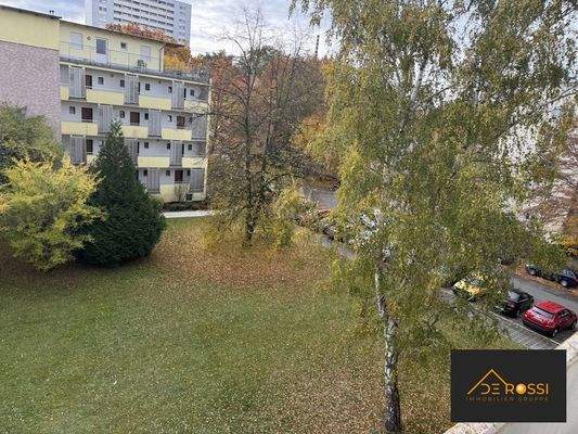 großer_Balkon_grüne_Aussicht