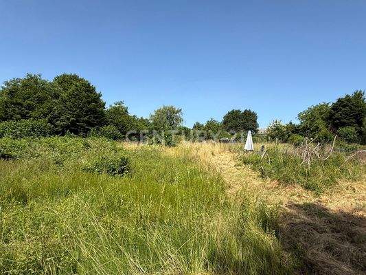 Pachtgelände hinter dem Haus