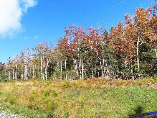 Cape Breton - Traumhaft schöne Atlantik-Lage - Pre