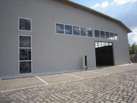 Wiesbaden Halle, Wiesbaden Hallenfläche