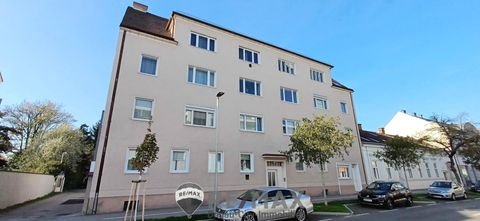 Wiener Neustadt Wohnungen, Wiener Neustadt Wohnung kaufen