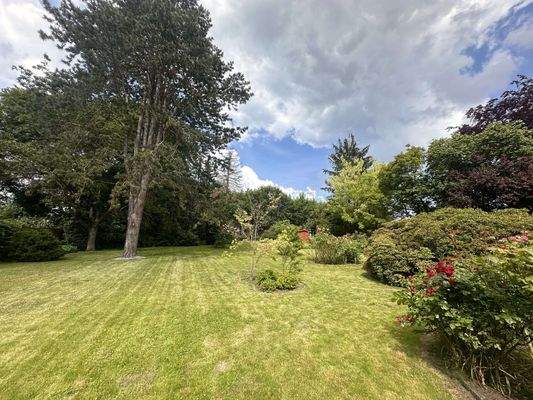 Foto 07.06.24, 10 24 32