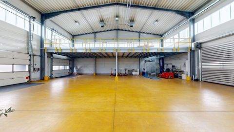 Limbach Halle, Limbach Hallenfläche