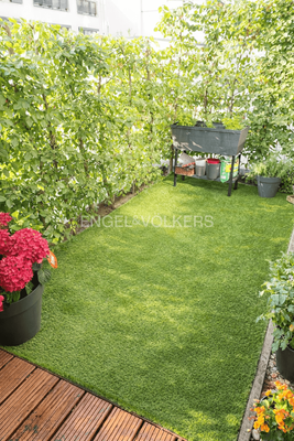 Blick in den schön eingewachsenen, kleinen Garten