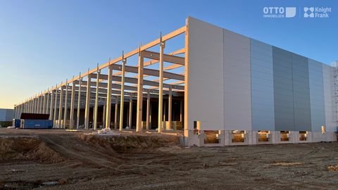 Bernolakovo Halle, Bernolakovo Hallenfläche