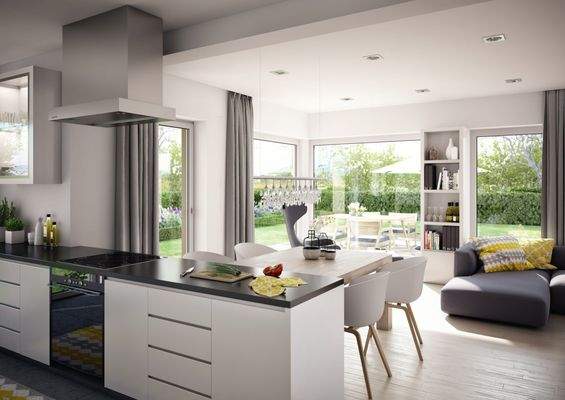 Küche und großzügiges Wohnzimmer