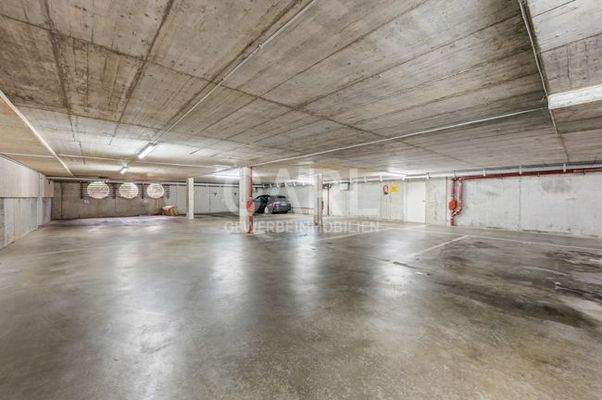 Weinstraße_20260221_43