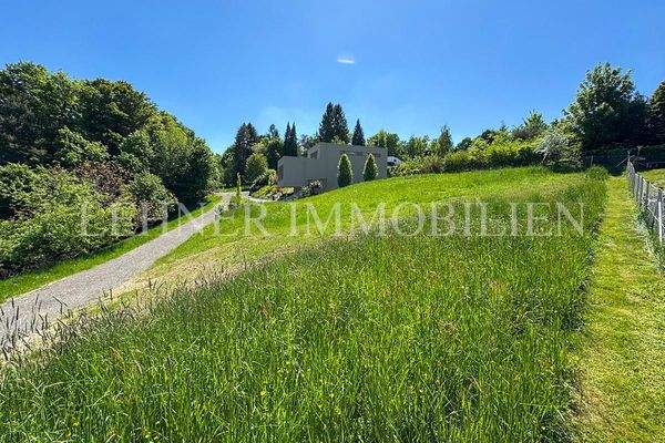 Lehner Immobilien Bild 2