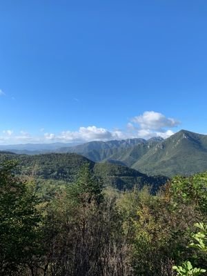 Ausblick vom Balkon.jpg