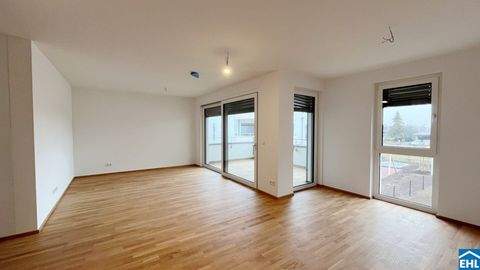 Wiener Neustadt Wohnungen, Wiener Neustadt Wohnung kaufen