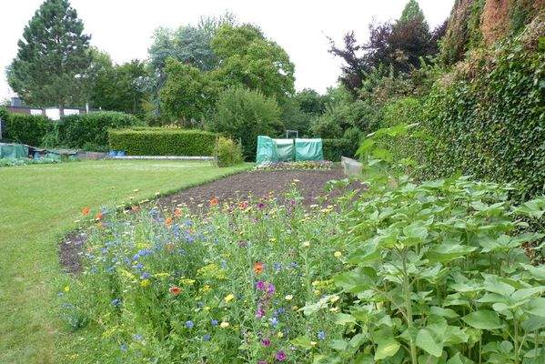 Gartenimpression aus Vorjahren