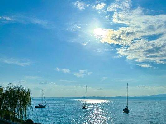 Stimmungsfoto Torri del Benaco foto 