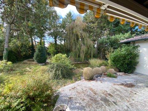 Saal a.d.Donau Häuser, Saal a.d.Donau Haus kaufen